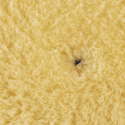 RUPES KRZNO ŽUTO fi80-90mm -9.BW100M